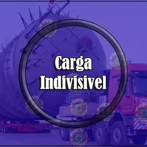 CARGA INDIVISIVEL 11-min (1)