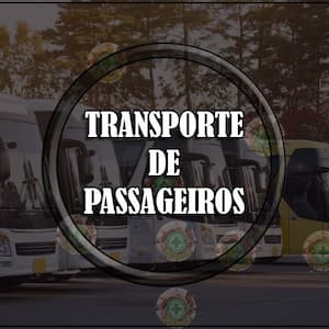 TRANSPORTE DE PASSAGEITOS1-min